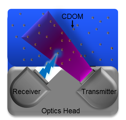 CDOM fluorometer sensor diagram