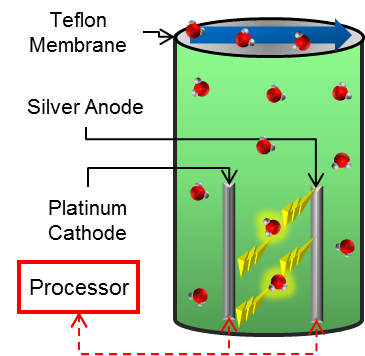 Clark electrode cell representation