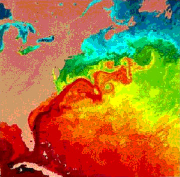 Gulf Stream thermal image