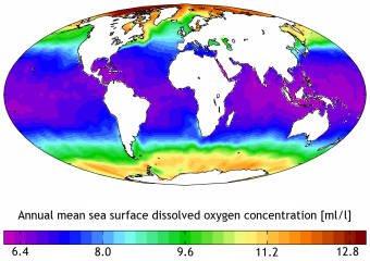 annual mean sea surface DO concentration