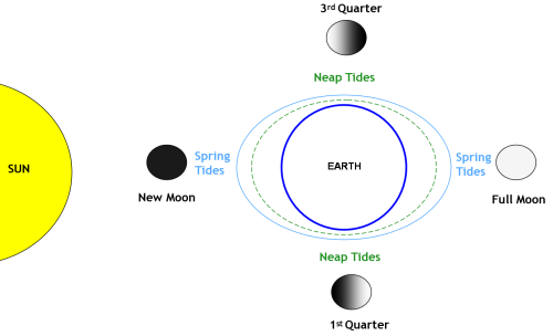 Tidal range